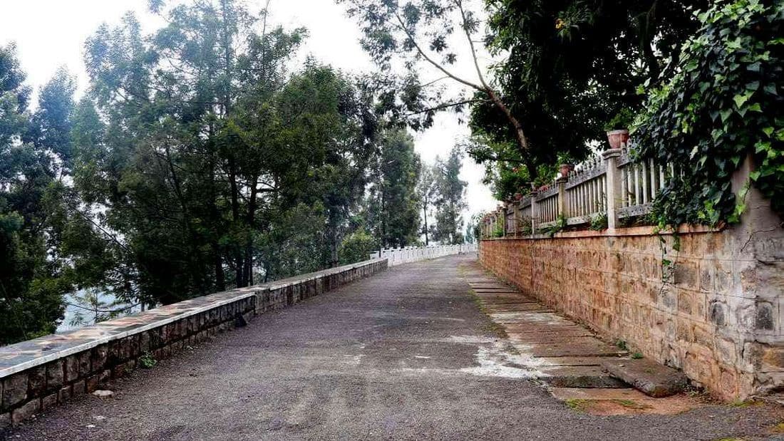 Another view of a neighbourhood road commonly used for walking