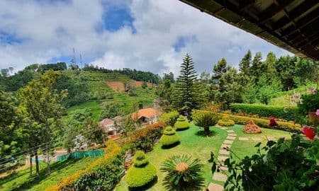 Gorgeous garden view