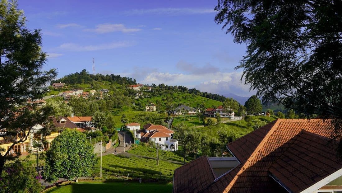 View from the Balcony