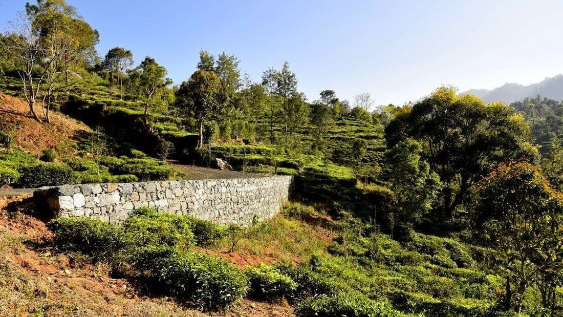 Gabion walls built to retain the road at Vista Chiaro Halakarai