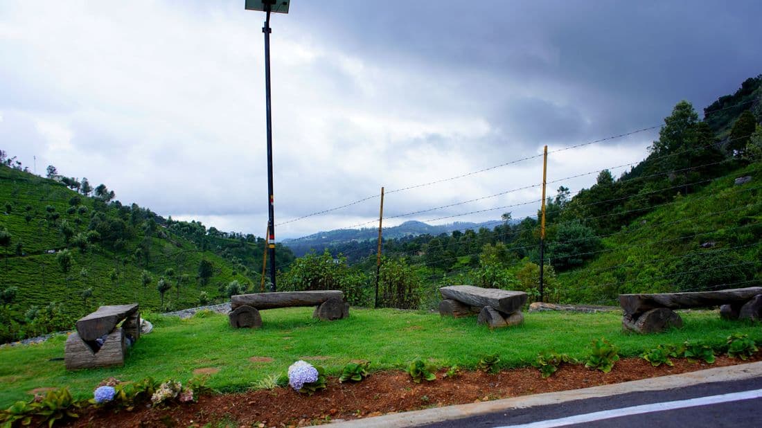 Log garden with blue grass at the road corner in Hill Valley Enclave