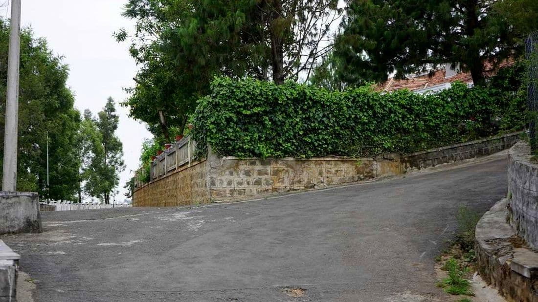 Road corner with a fully grown hedge of shrubs