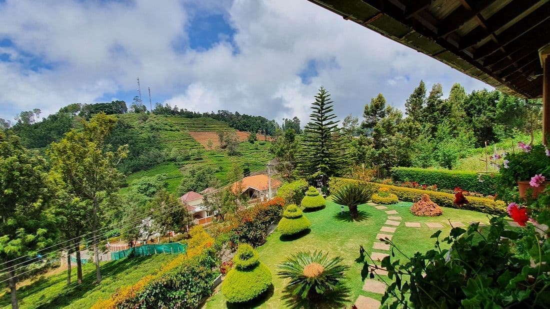 Gorgeous garden view