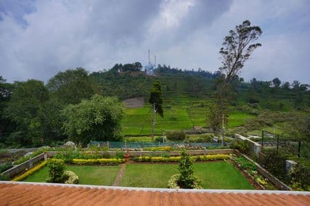 Gorgeous Estate Views
