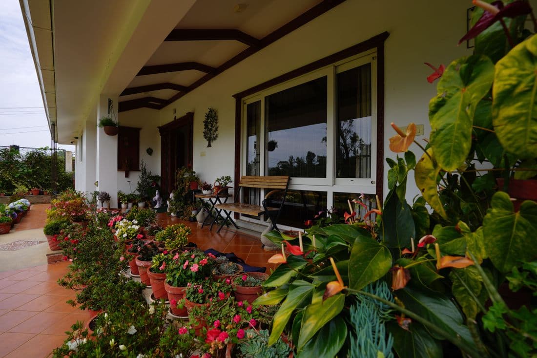 Garden area