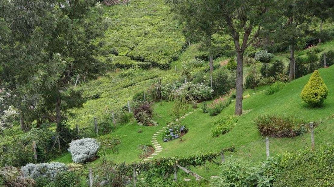 Well landscaped lawn at a house in Drumella